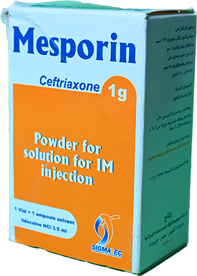 MESPORIN 1 GM IM VIAL