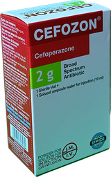 [48432] CEFOZON 2 GM 1 VIAL