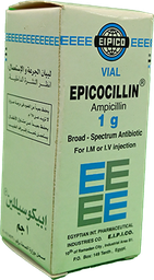 [1832] EPICOCILLIN  1 GM  1 VIAL