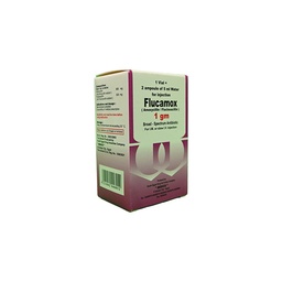 [30350] FLUCAMOX 1 GM VIAL