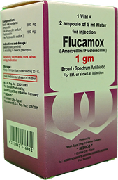 [30350] FLUCAMOX 1 GM VIAL