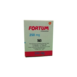 [19017] FORTUM 250 MG VIAL