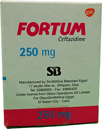 [19017] FORTUM 250 MG VIAL