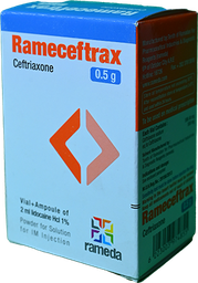 [52582] RAMECEFTRAX 500 MG I.M VIAL