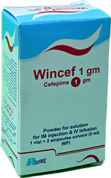 [49228] WINCEF 1000 MG IV/IM 1 VIAL