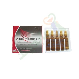 [59675] ALFACLINDAMYCIN  600 MG / 4 ML  5 AMPULES--