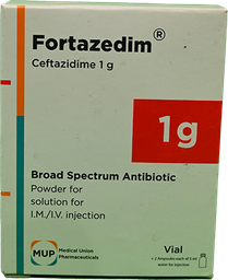 [66372] FORTAZEDIM 1GM VIAL