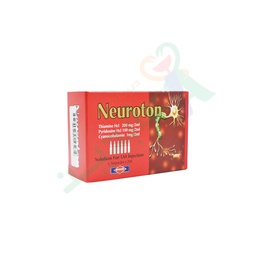 [18926] NEUROTON 6 AMPULES--