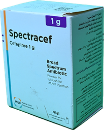 [63510] SPECTRACEF 1 GM VIAL