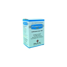 [91700] TRIAMERICAN 1 MG 1 VIAL