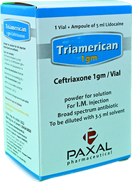 [91700] TRIAMERICAN 1 MG 1 VIAL