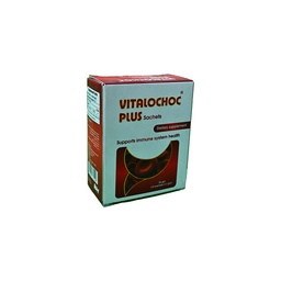 [93524] VITALOCHOC PLUS CHOCOLATE 10 SACHET