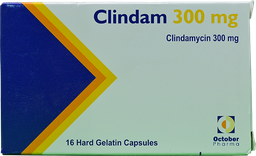 [48611] CLINDAM 300 MG 16 CAPSULES