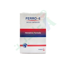 [29806] FERRO-6 24 CAPSULES--