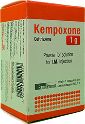 [55166] KEMPOXONE 1 GM VIAL