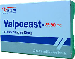 [49100] VALPOEAST SR 500 MG 20 TABLET